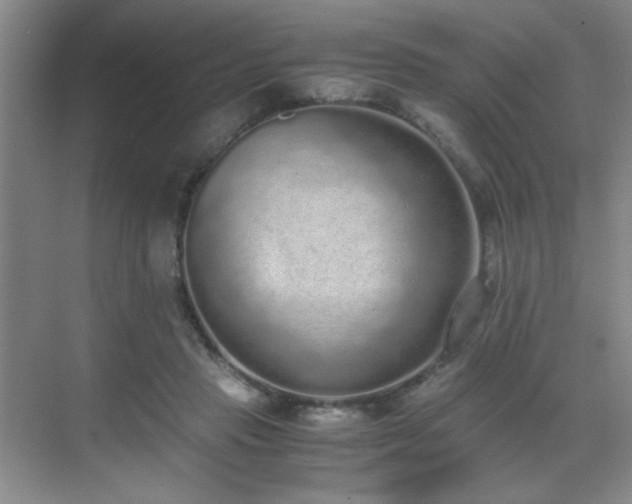 X0000070380453200606091129