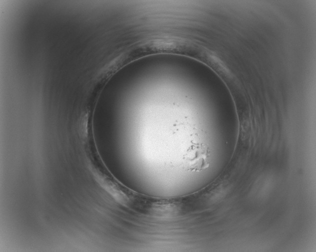 X0000070380454200606091130