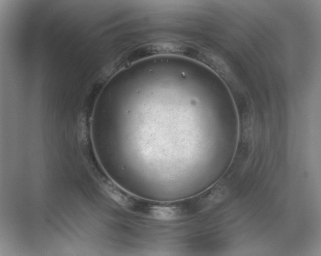 X0000070380457200606091130