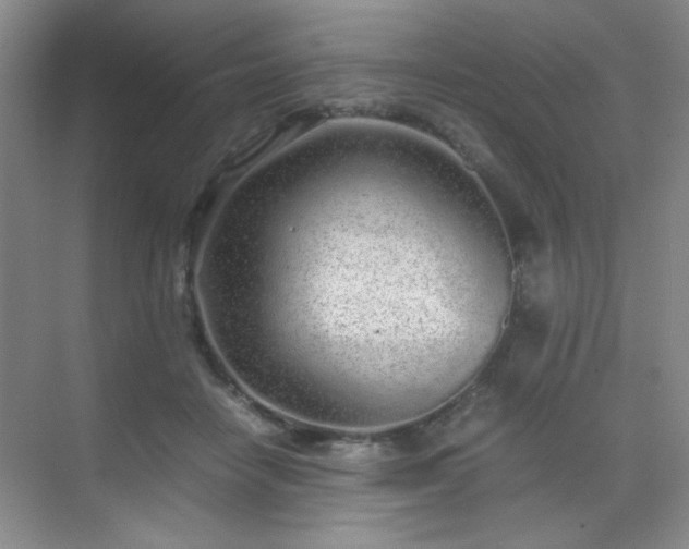 X0000070380458200606091130