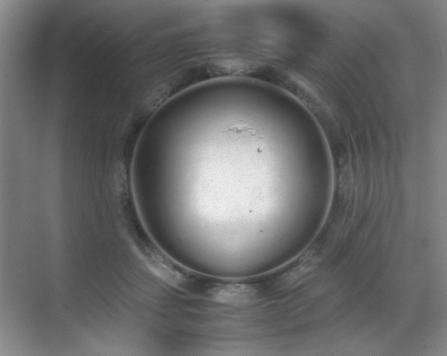 X0000070380459200606091130