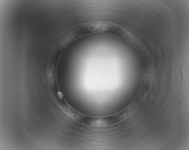 X0000070380460200606091130