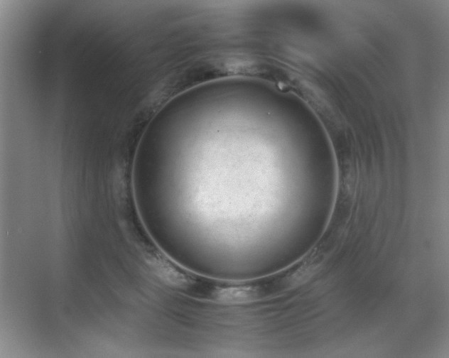 X0000070380461200606091130