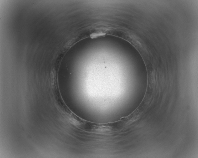 X0000070380463200606091130