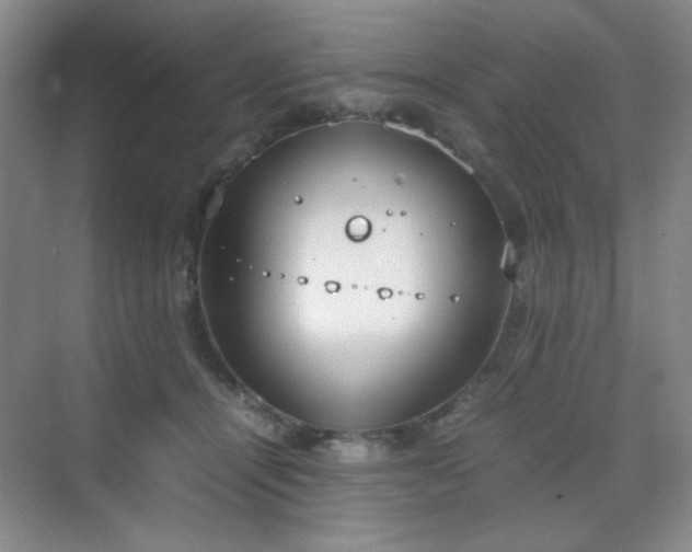 X0000070380464200606091130