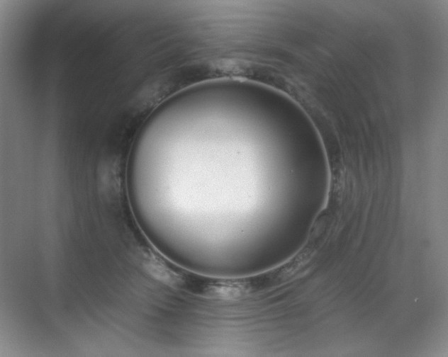 X0000070380466200606091130