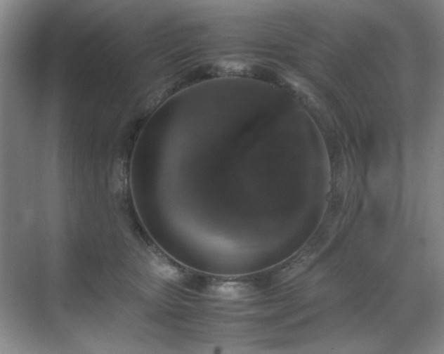 X0000070380467200606091130