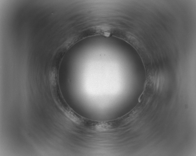 X0000070380468200606091130