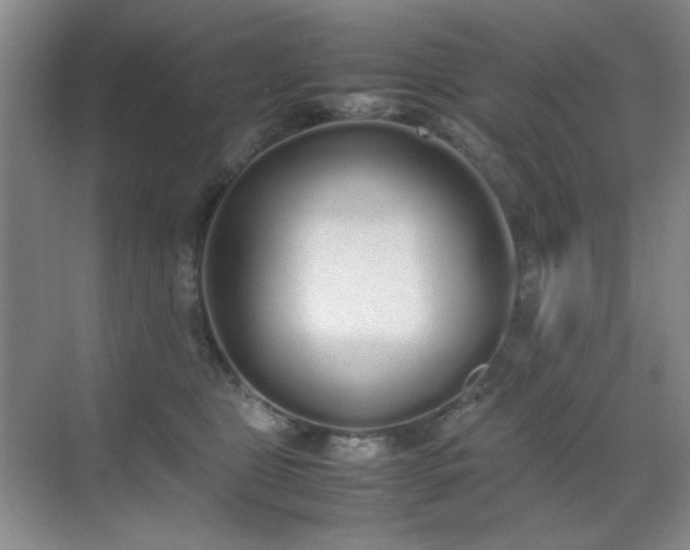 X0000070380469200606091130