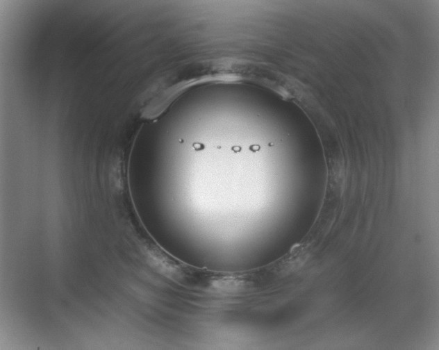 X0000070380470200606091130