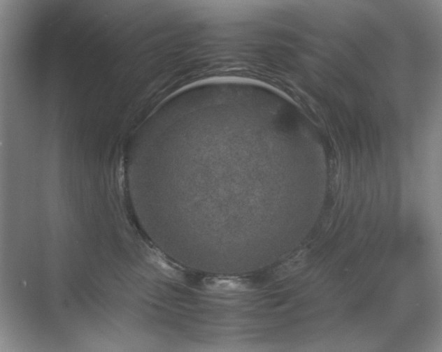 X0000070380475200606091130