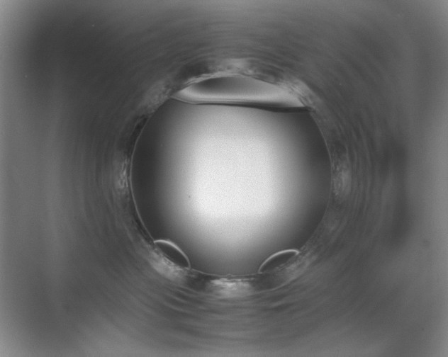 X0000070380477200606091130