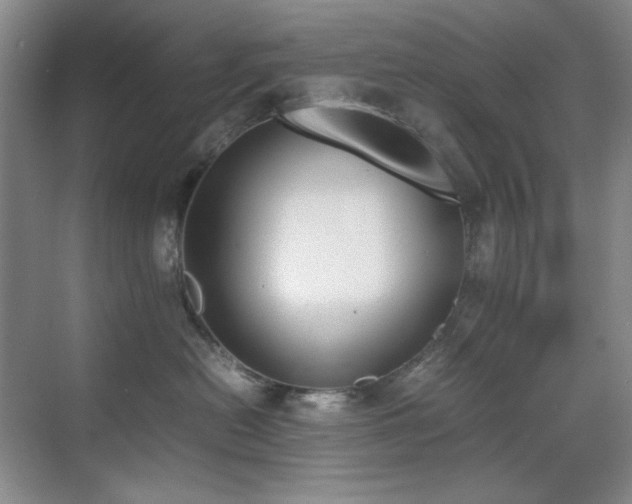 X0000070380478200606091130