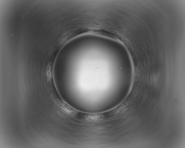 X0000070380479200606091130