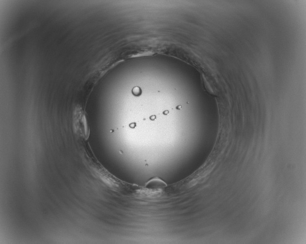 X0000070380480200606091130