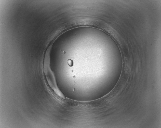 X0000070380482200606091129