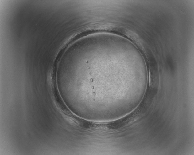 X0000070380483200606091129