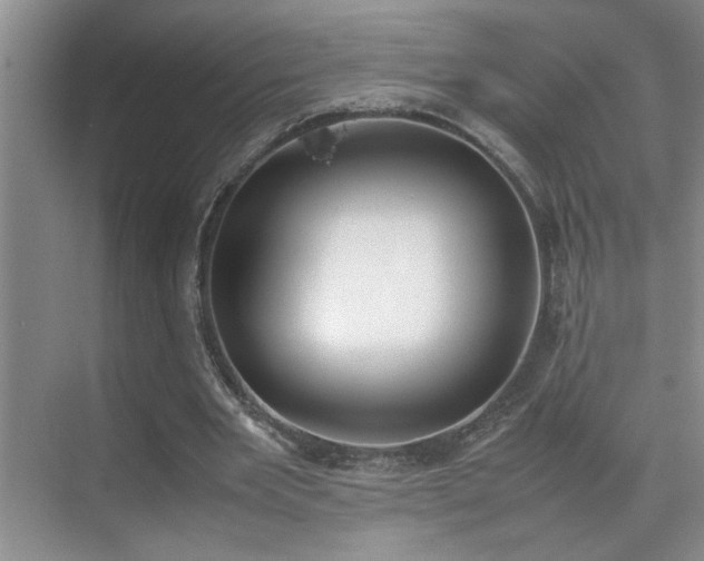 X0000070380485200606091129