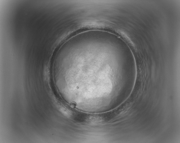 X0000070380487200606091129