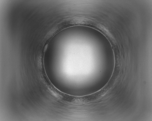 X0000070380489200606091129