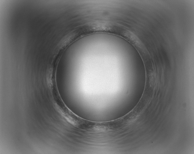 X0000070380490200606091129