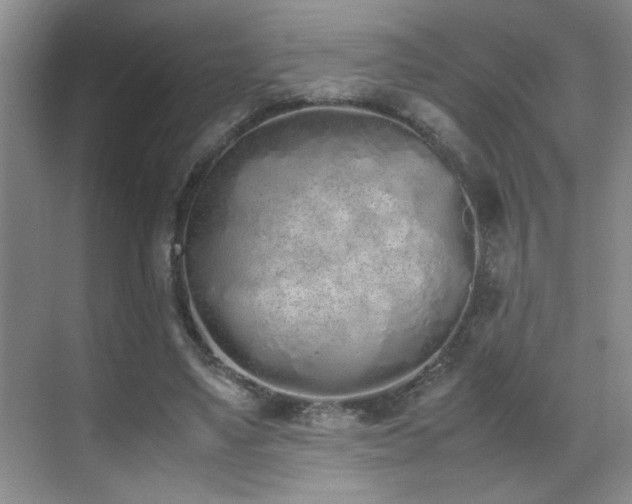 X0000070380491200606091129