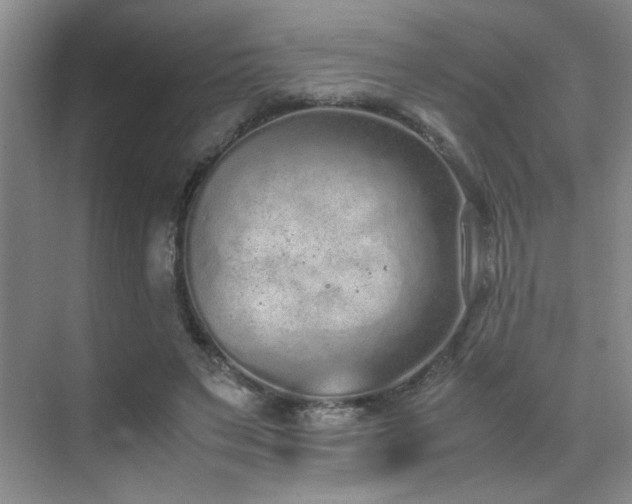 X0000070380495200606091129