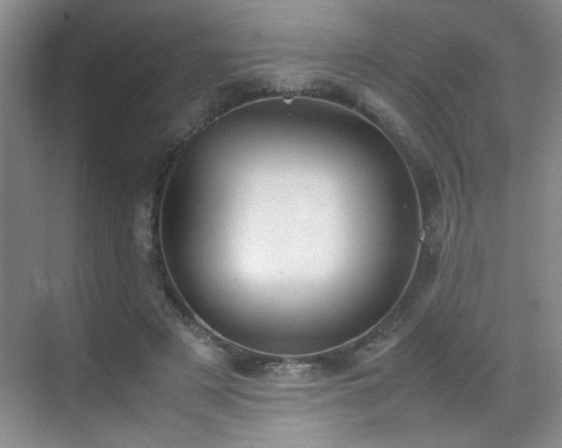 X0000070380497200606091129