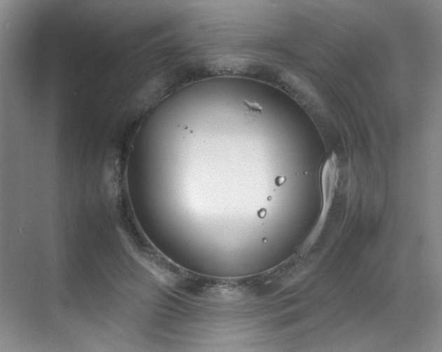 X0000070380498200606091129