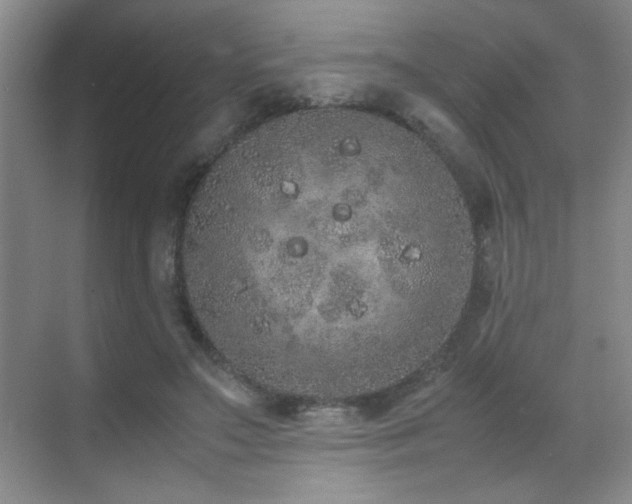 X0000070380499200606091129