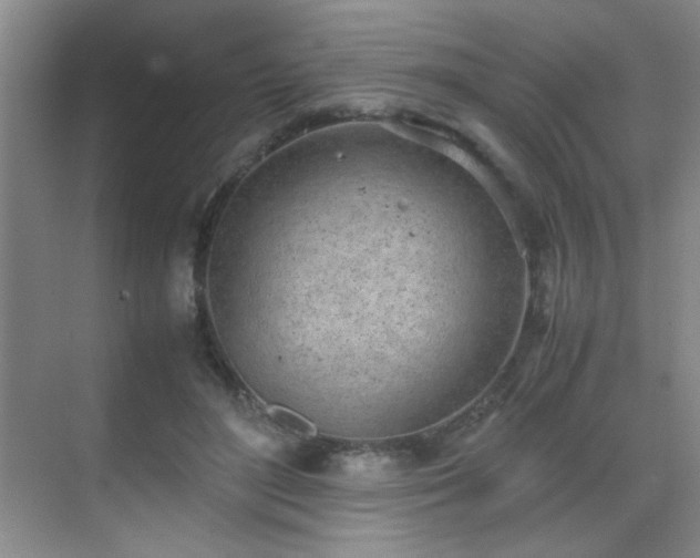 X0000070380500200606091129