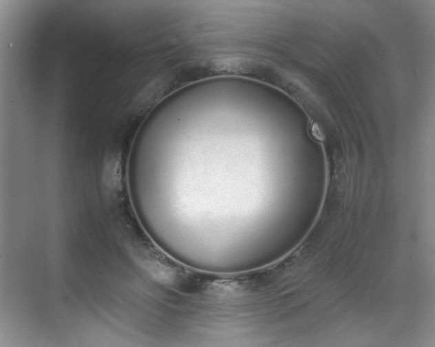 X0000070380502200606091129