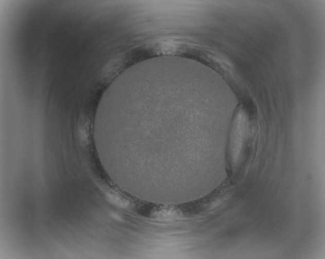 X0000070380503200606091129