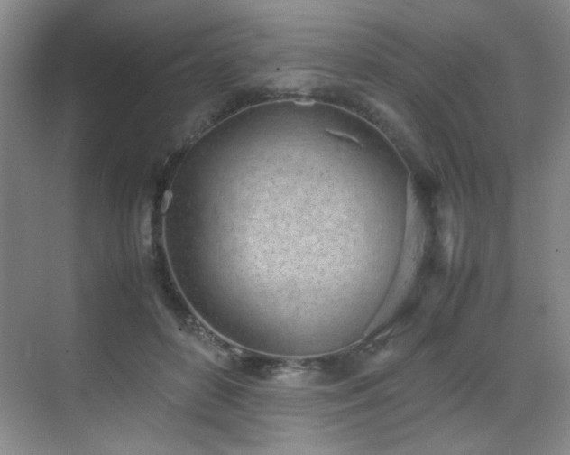 X0000070380504200606091129