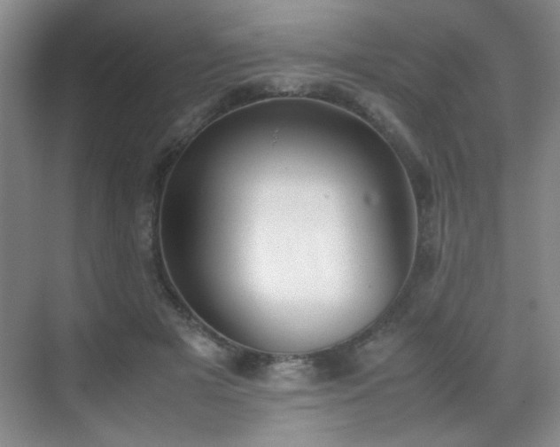 X0000070380505200606091129