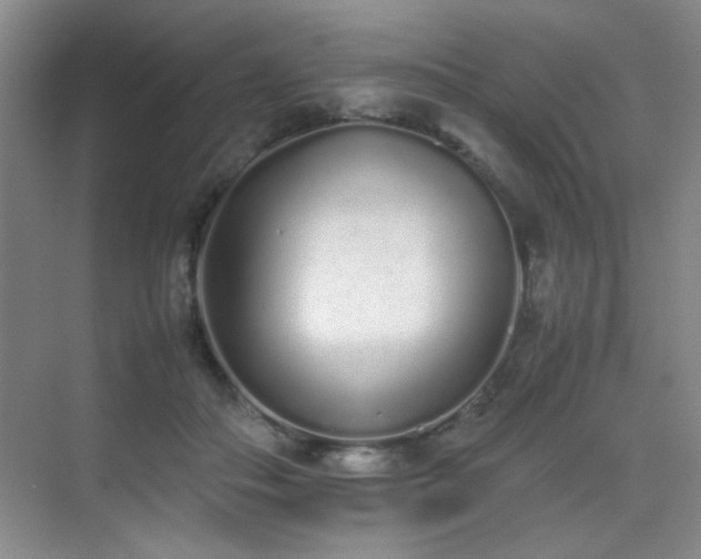 X0000070380506200606091129