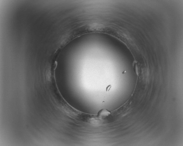 X0000070380508200606091129