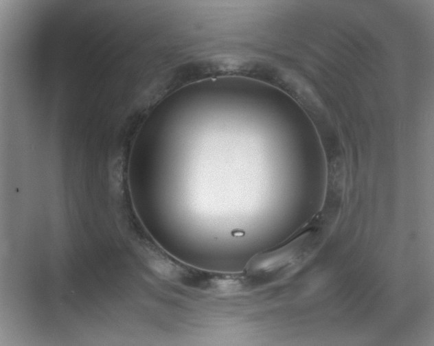 X0000070380509200606091129