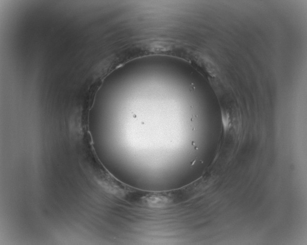 X0000070380512200606091129