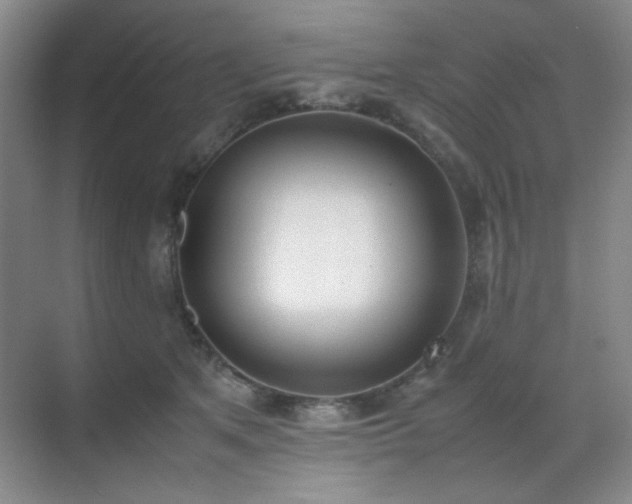 X0000070380513200606091129