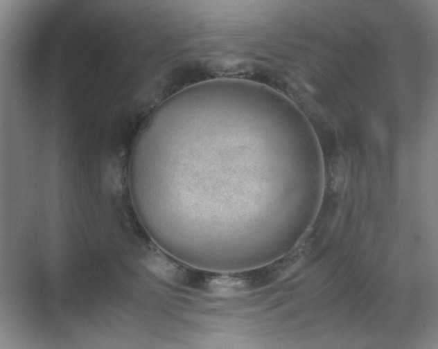 X0000070380515200606091129