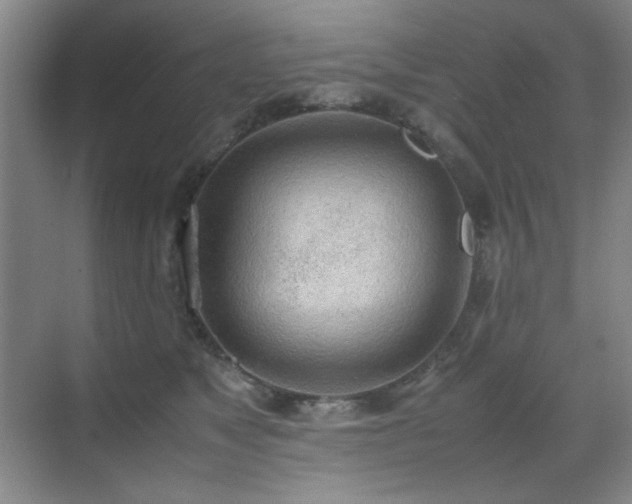 X0000070380517200606091129