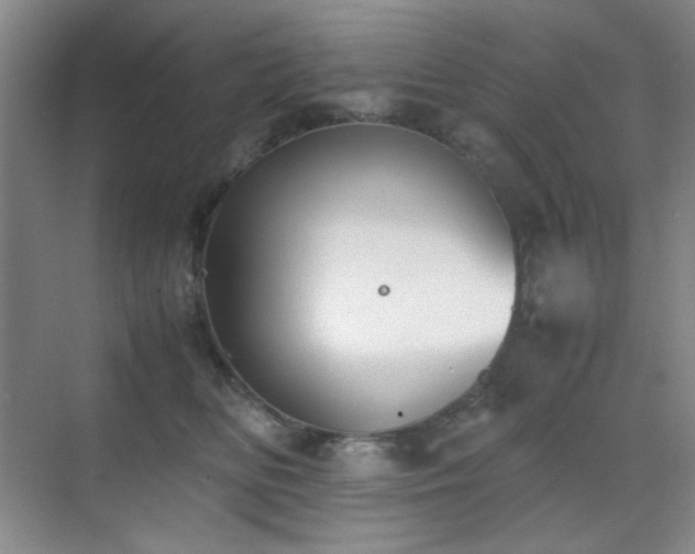 X0000070380518200606091129