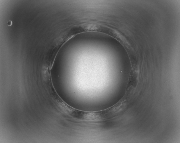 X0000070380521200606091128