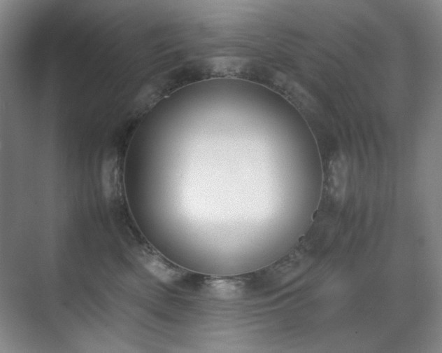 X0000070380522200606091128