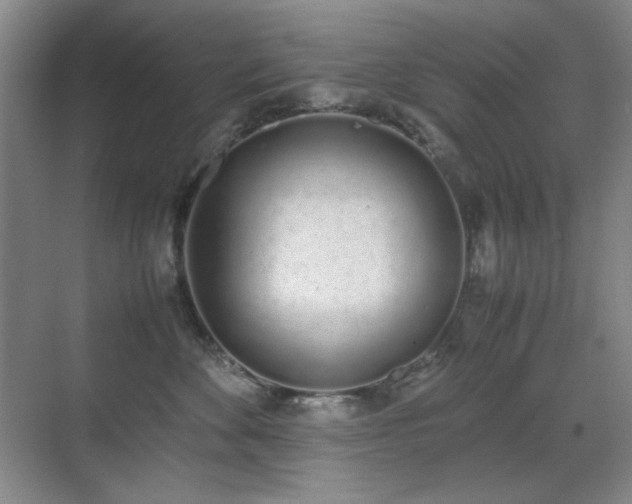 X0000070380524200606091128