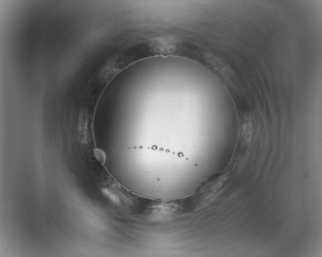 X0000070380525200606091128