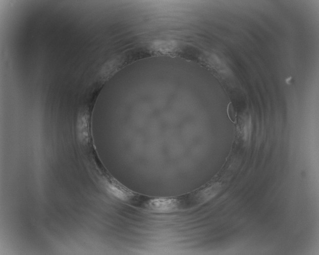 X0000070380526200606091128