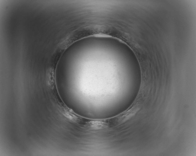 X0000070380528200606091128