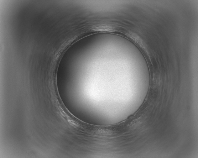 X0000070380529200606091128